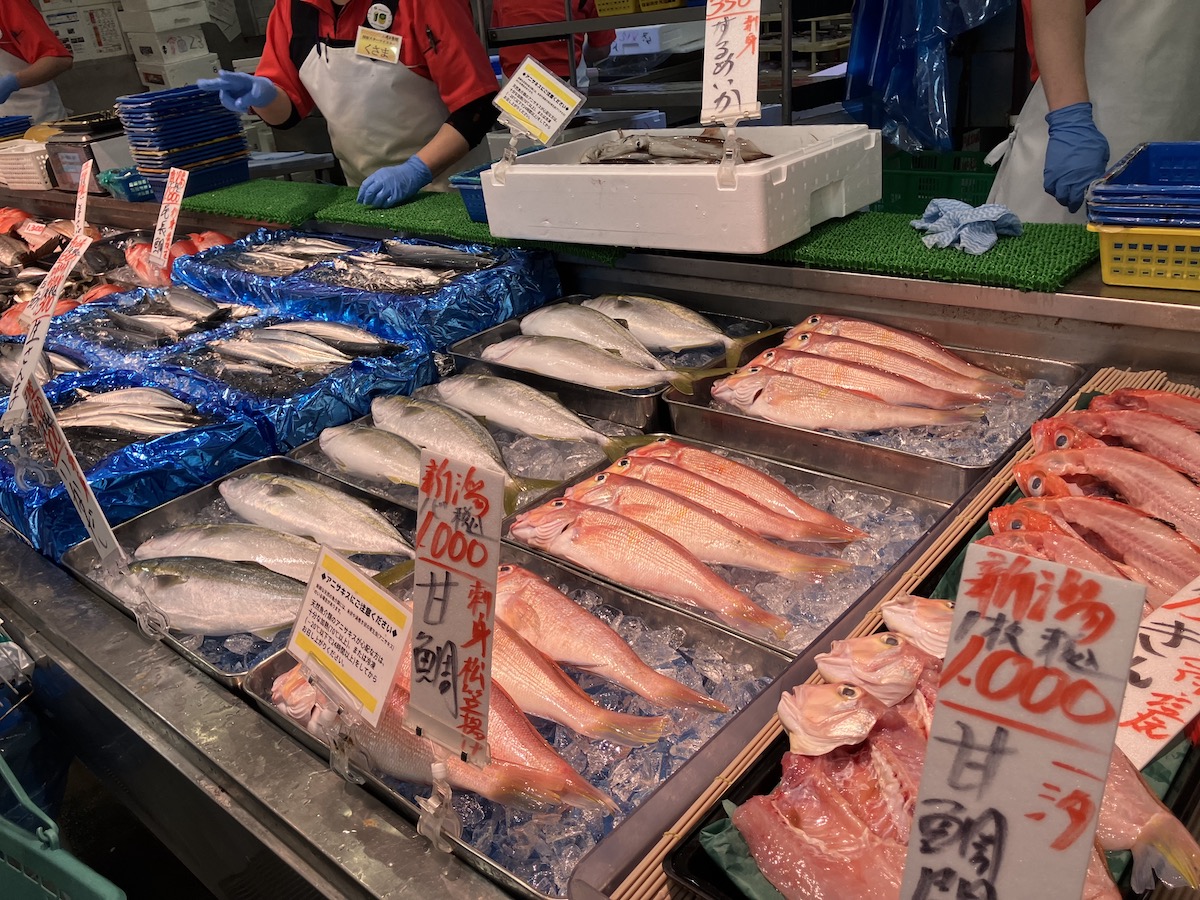 【角上魚類】謎に迫る! 黄色い帽子の「親切係」の仕事とは?①の画像3