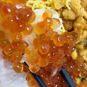 kakujougyorui-4shokudon-5-20251002