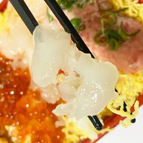 kakujougyorui-4shokudon-6-20251002