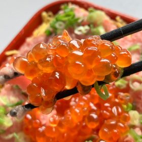 kakujougyorui-ikuranegitorodon-5-20251002