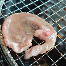 kalbi-17-20251023