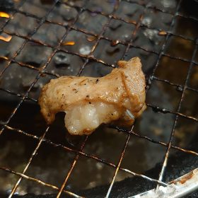 kalbi-19-20251023