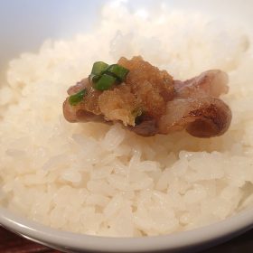 kusaki-marino-18-20251028