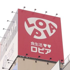 lopia-01-20251008