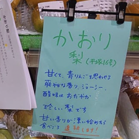 michinoeki-2-20251004