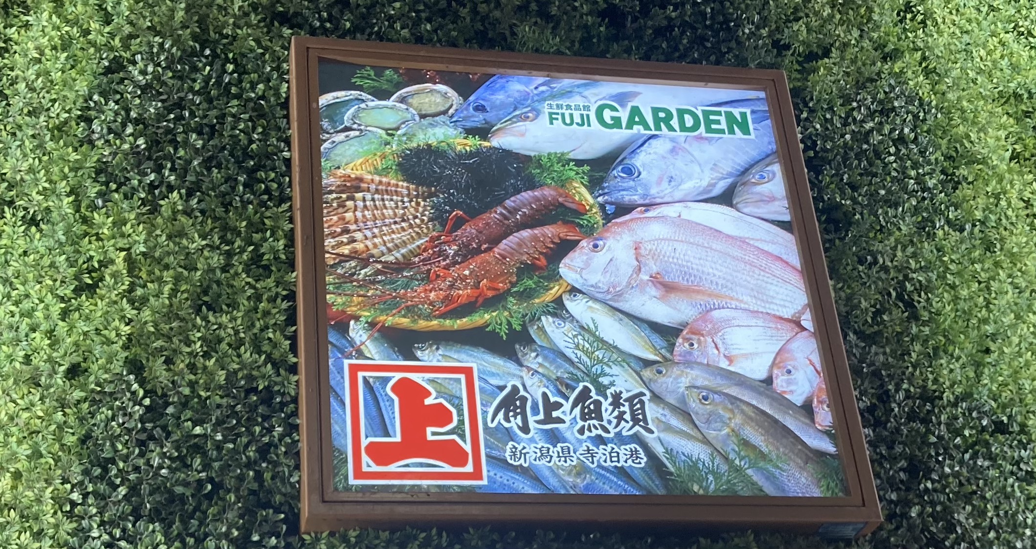 【角上魚類】お客さんがファンになる「親切係」の魅力とは? 「夕飯の献立相談」もおまかせ?(インタビュー後編)の画像1