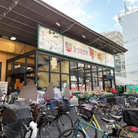 yutakaraya_lopia-1-20251023